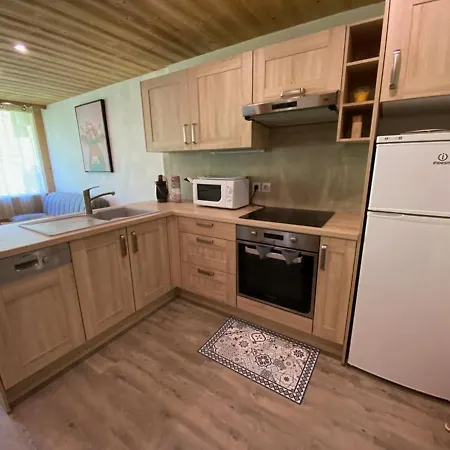 Apartment 4 Pers. Avec Indep., Terrasse, Wi-fi, Parking, Skis, Proche - Fr-1-733-110 *